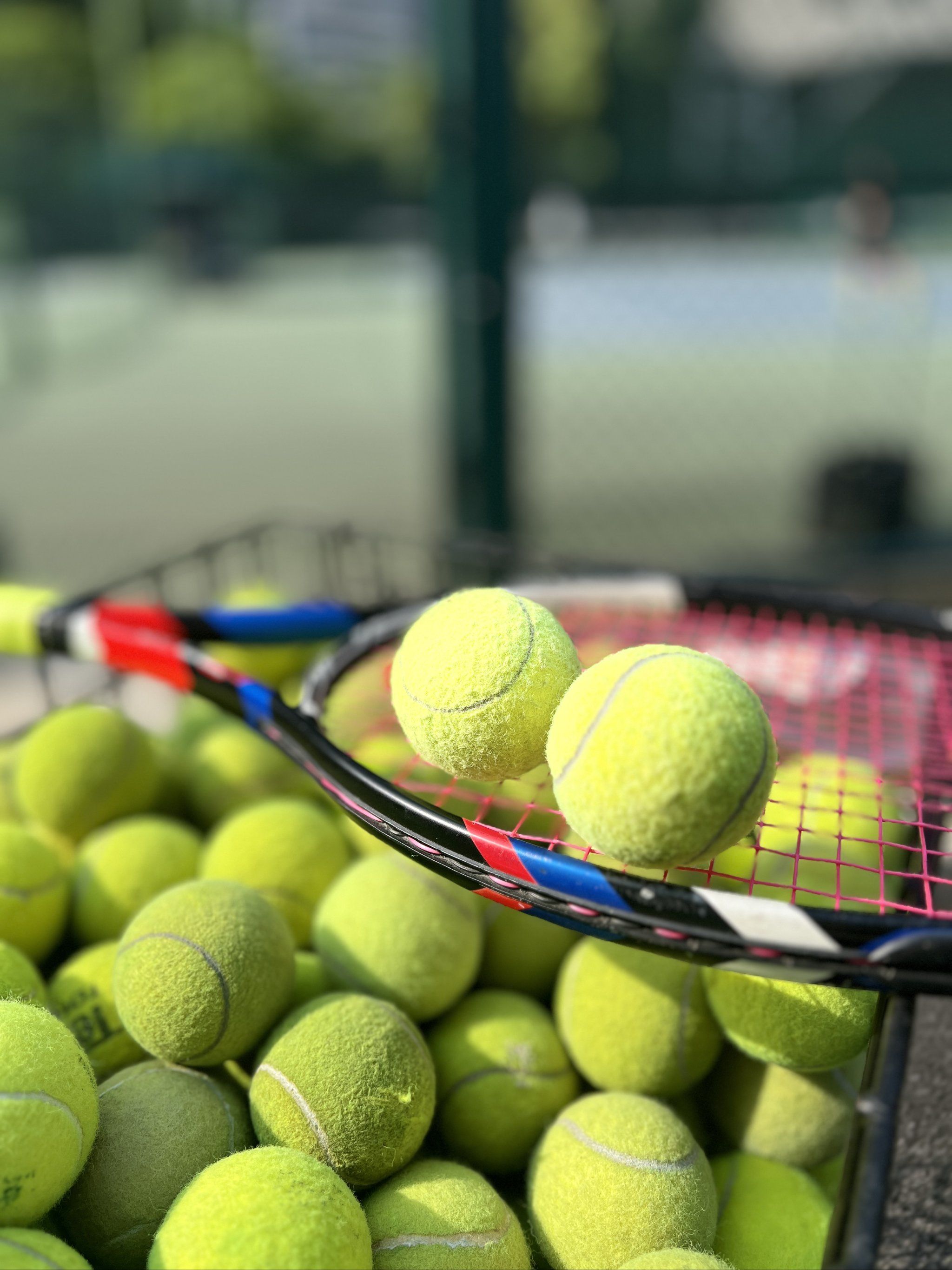 各不相同 各不相同